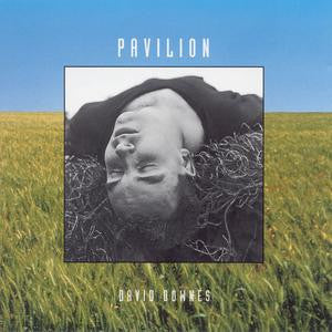 David Downes : Pavilion (CD, Album)
