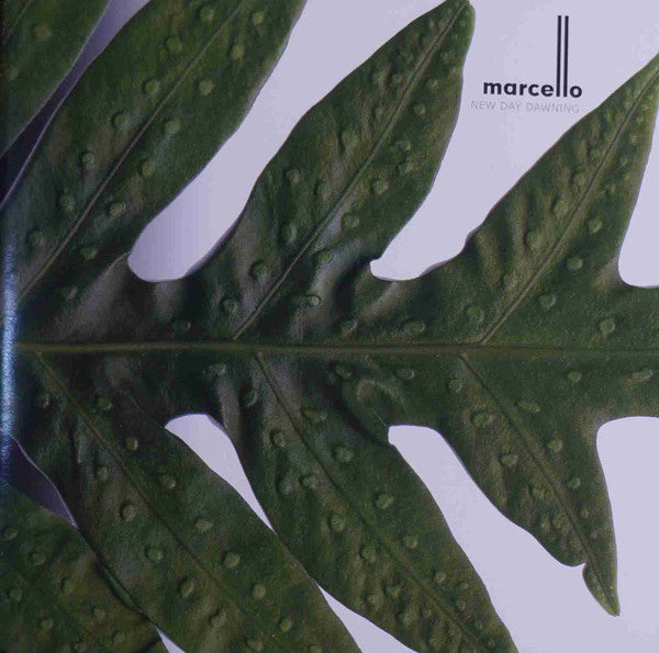 Marcello Milani : New Day Dawning (CD, Album)