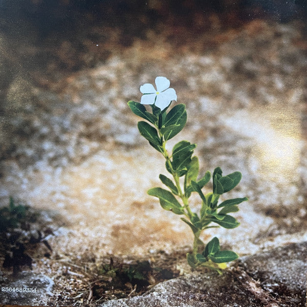 The Pretenders : The Best Of / Break Up The Concrete (CD, Comp + CD, Album, RE)