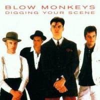 Blow Monkeys* : Digging Your Scene (CD, Comp)