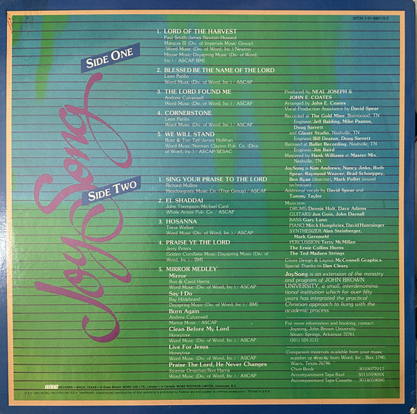 Joy Song : We Will Stand (LP)