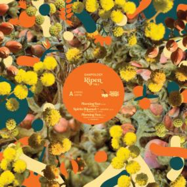 Sampology : Ripen Volume 1 (12", EP)