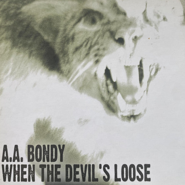 A.A. Bondy : When The Devil's Loose (CD, Album)