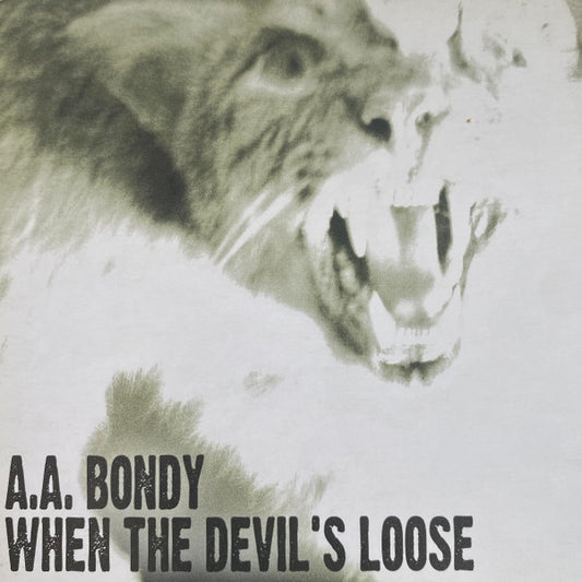 A.A. Bondy : When The Devil's Loose (CD, Album)
