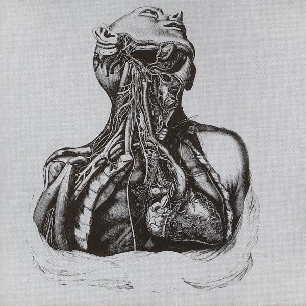 Orbital : Orbital (CD, Album, RE)