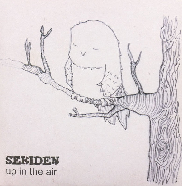 Sekiden : Up In The Air (CD, Single)