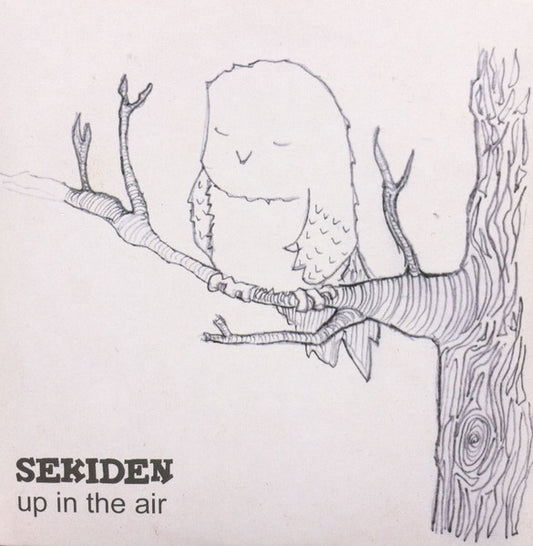 Sekiden : Up In The Air (CD, Single)