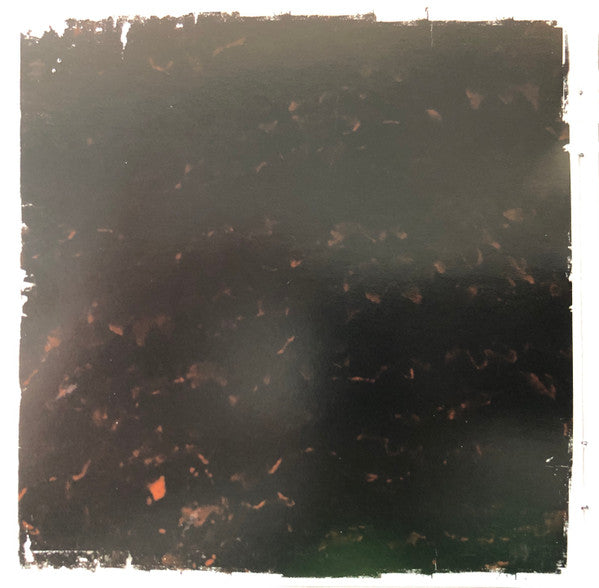 Kasey Chambers : Wayward Angel (CD, Album, Copy Prot.)