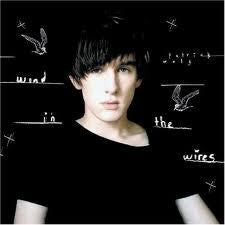 Patrick Wolf : Wind In The Wires (CD, Album)