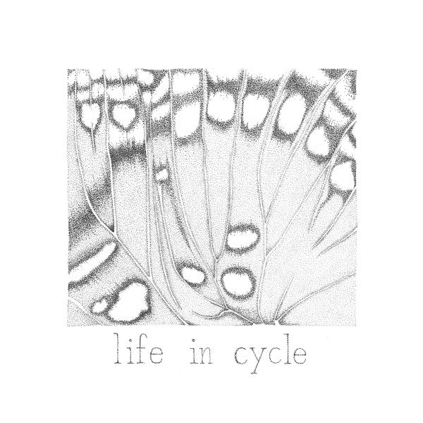 fhae : Life In Cycle (CD, Album)