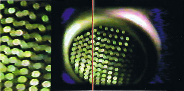 Strawpeople : Broadcast (CD, Album)