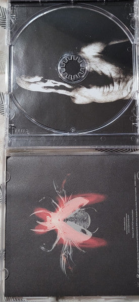 Saosin : In Search Of Solid Ground (CD, Album)