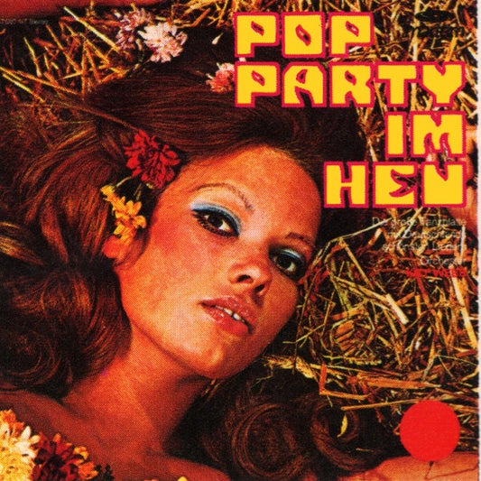 Orchester Kay Webb : Pop Party Im Heu (LP, Album)