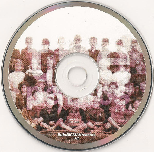 The Panics : Crack In The Wall (CD, Album)