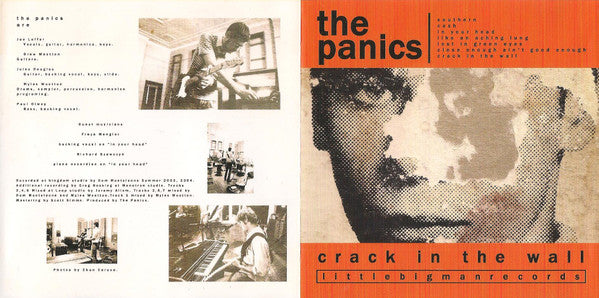The Panics : Crack In The Wall (CD, Album)