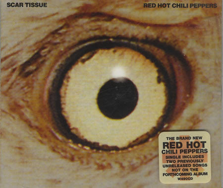 Red Hot Chili Peppers : Scar Tissue (CD, Single)