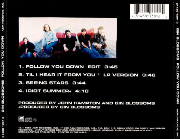 Gin Blossoms : Follow You Down (CD, Maxi)