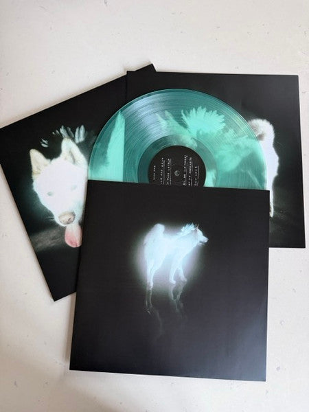 Fat Dog (5) : Cancel Me (I'm Tired) (LP, Album, Ltd, Cok)