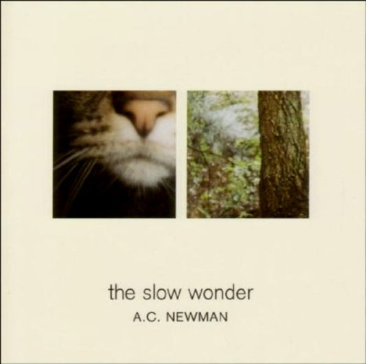 A.C. Newman : The Slow Wonder (CD, Album)