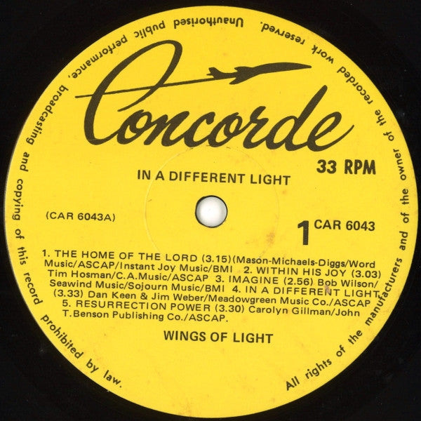 Wings Of Light : In A Different Light (LP)