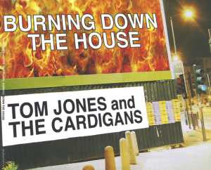 Tom Jones And The Cardigans : Burning Down The House (CD, Maxi, CD2)