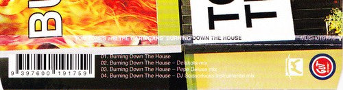 Tom Jones And The Cardigans : Burning Down The House (CD, Maxi, CD2)