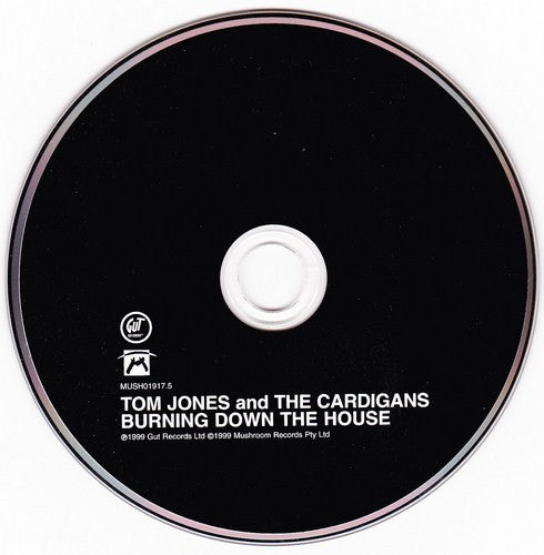 Tom Jones And The Cardigans : Burning Down The House (CD, Maxi, CD2)