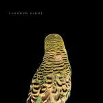 Andrew Bird : Armchair Apocrypha (CD, Album)