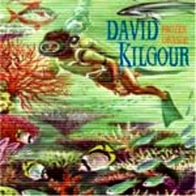 David Kilgour : Frozen Orange (CD, Album)
