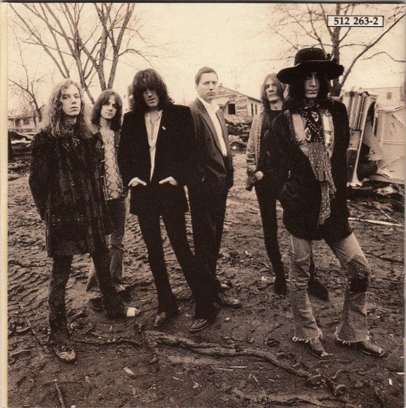 The Black Crowes : The Southern Harmony And Musical Companion (CD, Album)