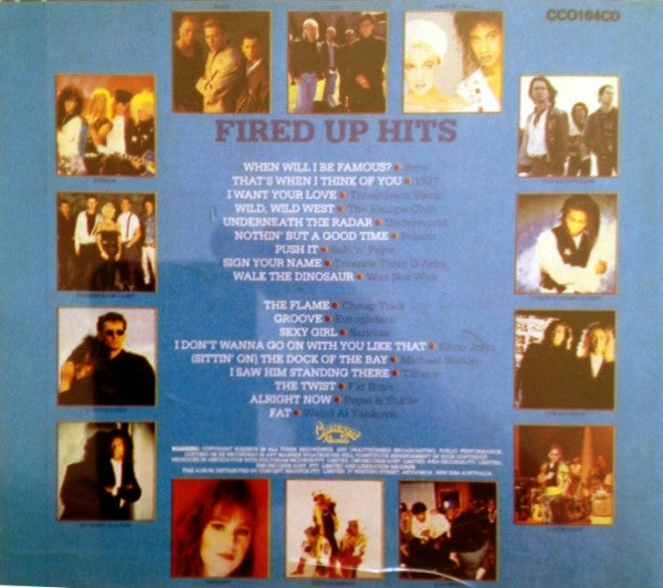 Various : Fired Up Hits (CD, Comp)