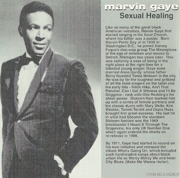 Marvin Gaye : Sexual Healing (CD)