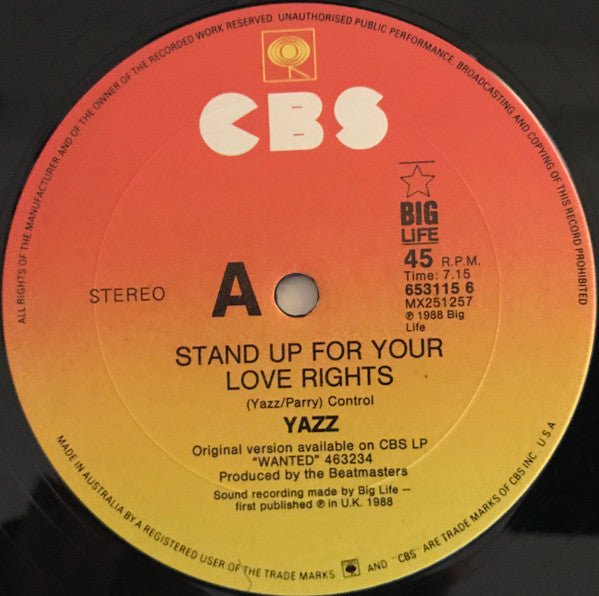 Yazz : Stand Up For Your Love Rights (12", Single)