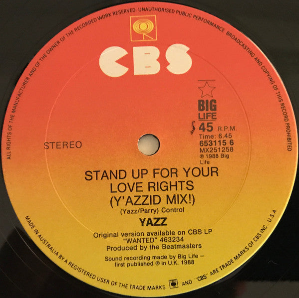 Yazz : Stand Up For Your Love Rights (12", Single)