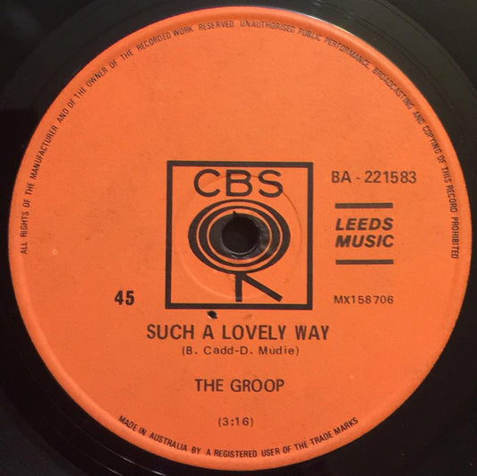 The Groop (3) : Such A Lovely Way (7", Single)