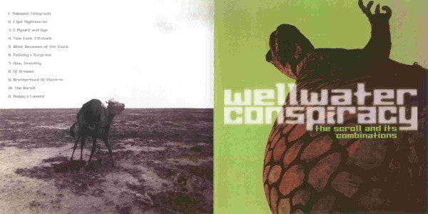 The Wellwater Conspiracy : The Scroll And Its Combinations (CD, Album)