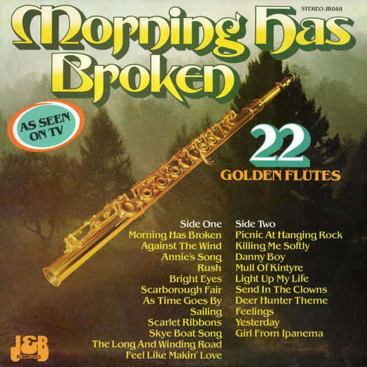 Unknown Artist : Morning Has Broken (LP)
