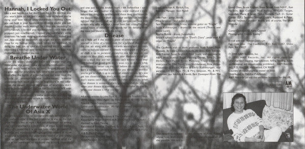 The Caulfields : Whirligig (CD, Album)