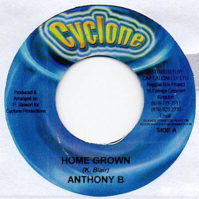 Anthony B : Home Grown (7")