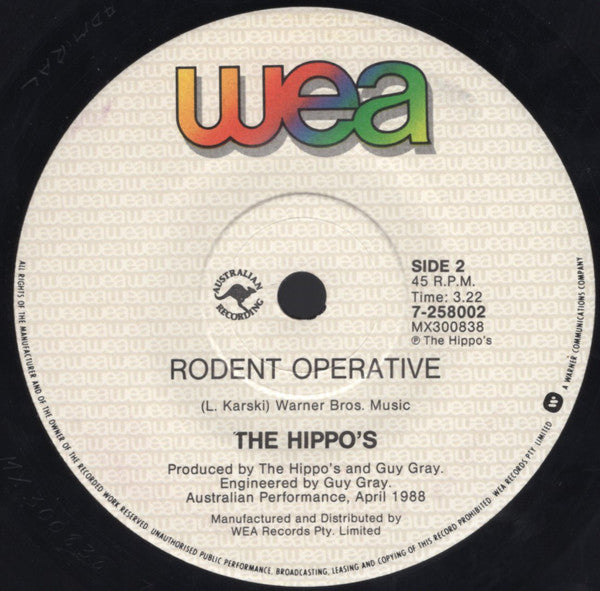 Hippos : Dark Age (7", Single)