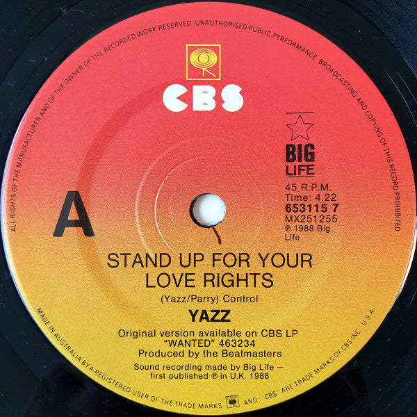 Yazz : Stand Up For Your Love Rights (7")