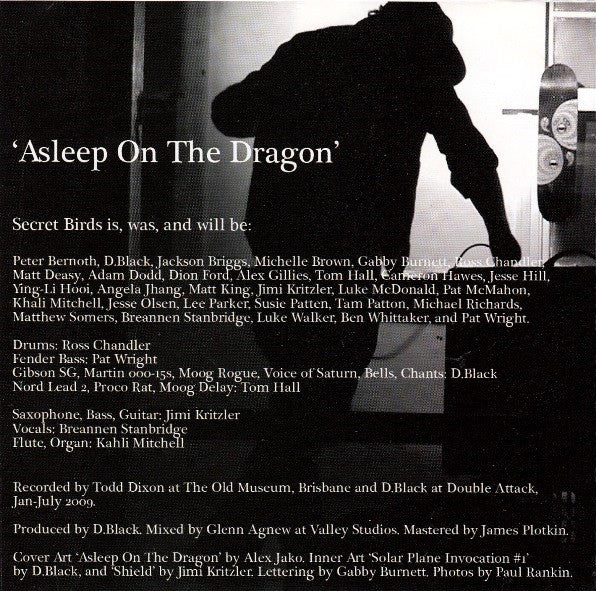 Secret Birds : Asleep On The Dragon (CD, Album)