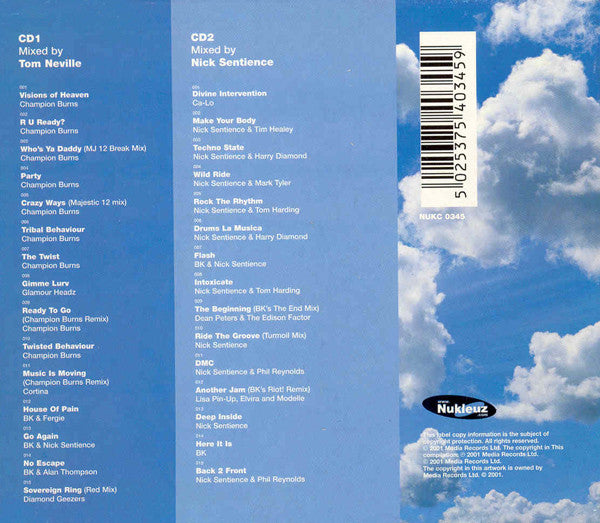Various : International Big Room Tunes (2xCD, Comp, Mixed)