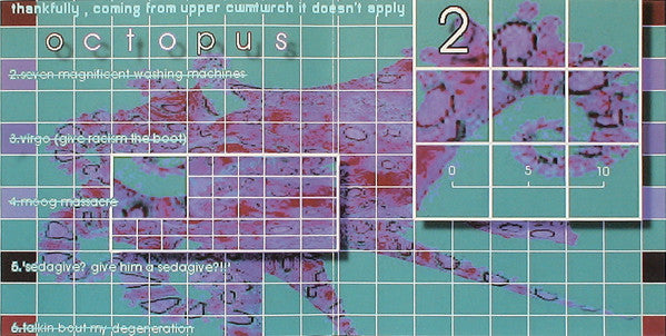 Octopus : Octopus 2 (CD, Album, Ltd)