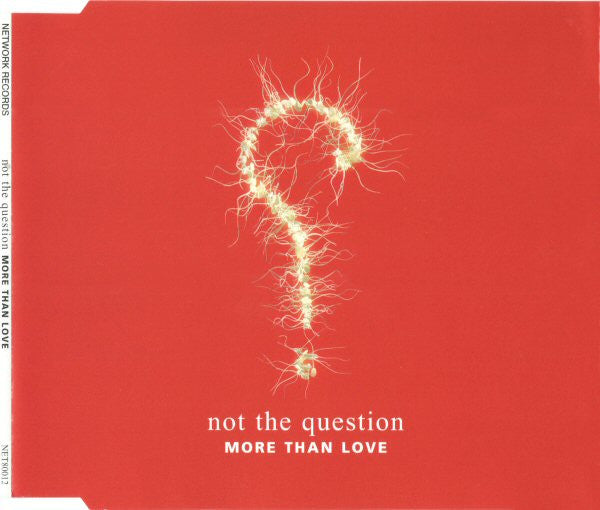 Not The Question : More Than Love (CD, Single)