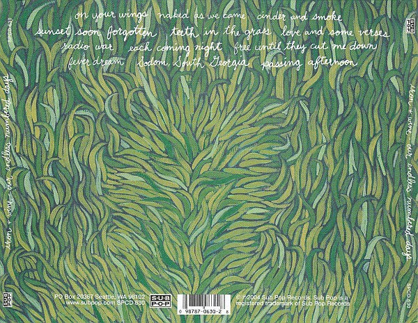 Iron + Wine* : Our Endless Numbered Days (CD, Album)
