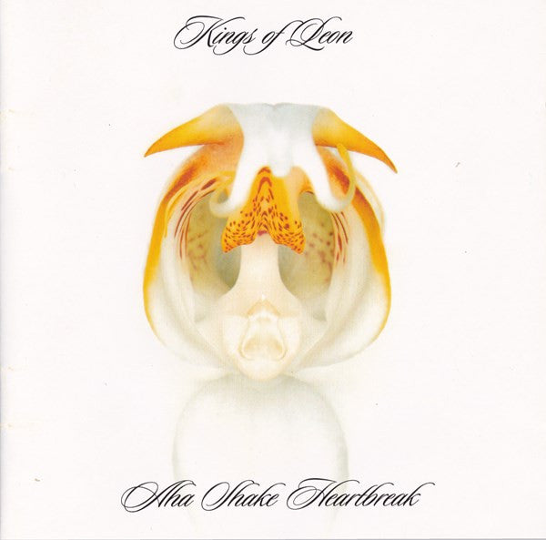 Kings Of Leon : Aha Shake Heartbreak (2xCD, Album, Ltd)
