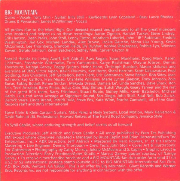 Big Mountain : Resistance (CD, Album)