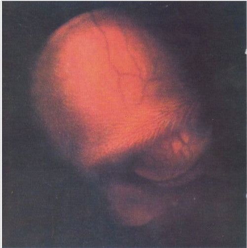 Tweezer (2) : Tweezer (CD, EP)