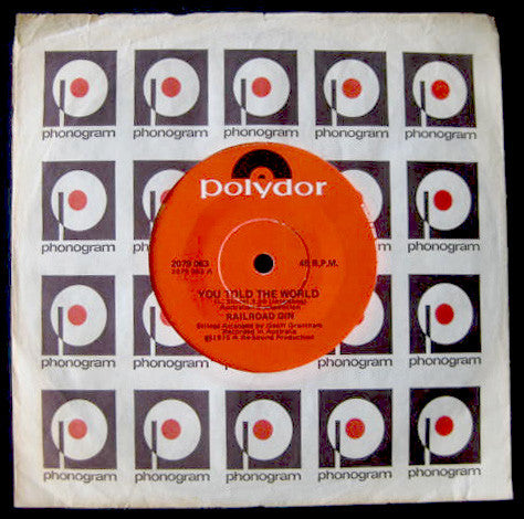 Railroad Gin : You Told The World (7")